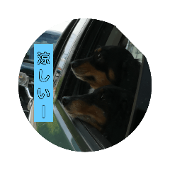 [LINEスタンプ] 華帆、太来、金太郎日常