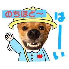 [LINEスタンプ] りょうつの使えるスタンプ3