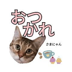 [LINEスタンプ] アニーのデカ文字