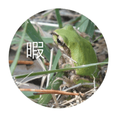 [LINEスタンプ] アクマの自然のスタンプ