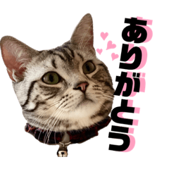 [LINEスタンプ] ボクちん 天むす