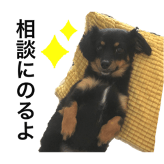 [LINEスタンプ] いつでもつくね2