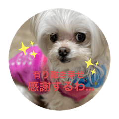 [LINEスタンプ] ラブちゃんと空くん