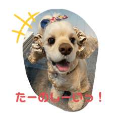 [LINEスタンプ] でにむすたんぷ