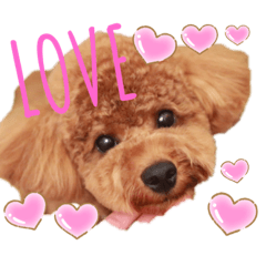 [LINEスタンプ] 推しのむーたん