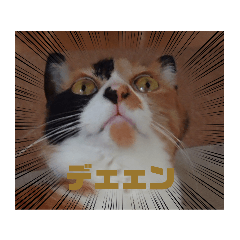 [LINEスタンプ] mimiのLINEスタンプ