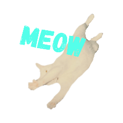 [LINEスタンプ] White Cat Don-Don