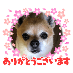 [LINEスタンプ] おデブのレオくん