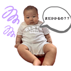 [LINEスタンプ] 日常で使えるれん丸❤️