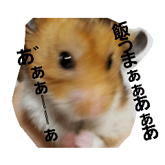[LINEスタンプ] ゆかいなハムスターライフ
