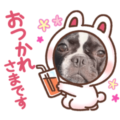 [LINEスタンプ] フレンチブルドッグのラムだっちゃ♡♡2
