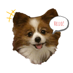 [LINEスタンプ] 愛犬ミルクちゃんのスタンプ