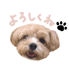 [LINEスタンプ] アリーの日常2