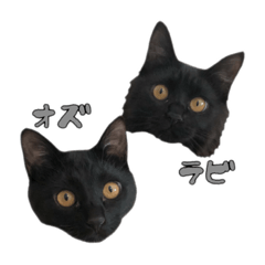 [LINEスタンプ] オズラビ