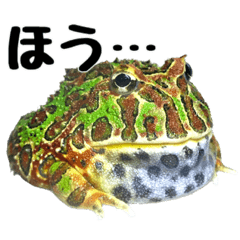 [LINEスタンプ] ツノガエルの会話