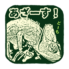 [LINEスタンプ] カミリオン