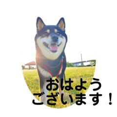 [LINEスタンプ] うちの幸(コウ)は、宇宙一やっ❤️