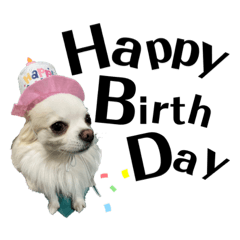 [LINEスタンプ] 柑子木家のジュジュくん