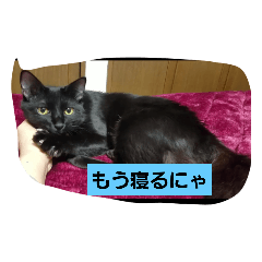[LINEスタンプ] にんざぶろう。さん