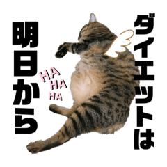 [LINEスタンプ] みりんプ