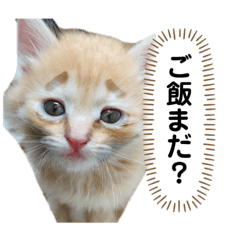 [LINEスタンプ] あいうえオン