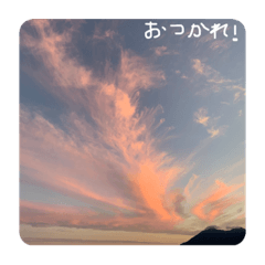 [LINEスタンプ] 癒しの写真スタンプ