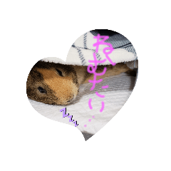 [LINEスタンプ] 今日のモル1