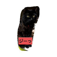 [LINEスタンプ] にんざぶろう。にっ