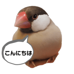 [LINEスタンプ] Banbi＆Tiffany