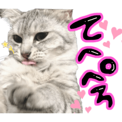 [LINEスタンプ] 使えすぎるノアち