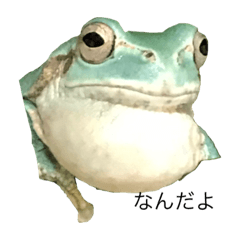 [LINEスタンプ] まるくてかわいいお豆たち