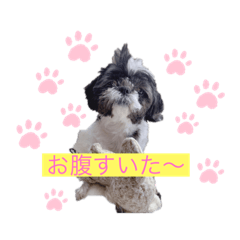 [LINEスタンプ] 大福とモナカの日常