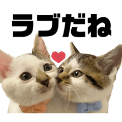[LINEスタンプ] しろポコ