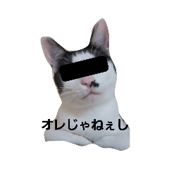 [LINEスタンプ] hogoneco