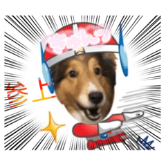 [LINEスタンプ] 息子の犬