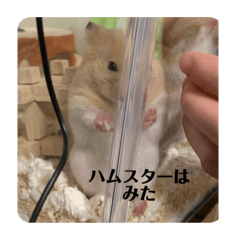 [LINEスタンプ] おいらラテ