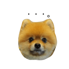 [LINEスタンプ] コウ太さんの日常スタンプ