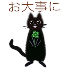 [LINEスタンプ] キューティー黒ネコ