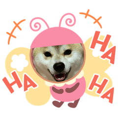 [LINEスタンプ] 楽しい日常スタンプ♡