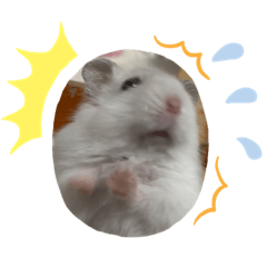 [LINEスタンプ] くるみたんだよぉ！