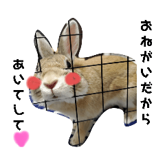 [LINEスタンプ] 近藤家のすたんぷ