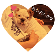 [LINEスタンプ] アイチャン2