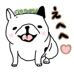 [LINEスタンプ] フレブルのぶうこちゃん 3