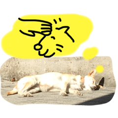 [LINEスタンプ] 愛されパインの日常2
