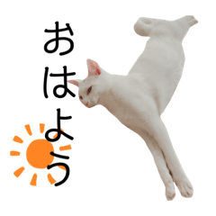 [LINEスタンプ] むぎとほっぷスタンプ