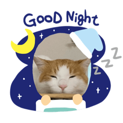 [LINEスタンプ] ふみよのこはゆみこ