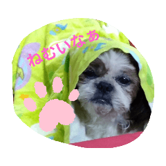 [LINEスタンプ] 日常気持ちかわいい
