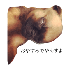 [LINEスタンプ] ジェイミーちゃん
