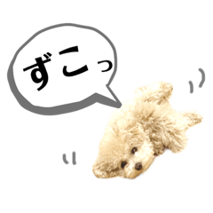 [LINEスタンプ] トイプードル モコスタンプ2
