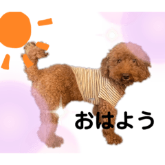 [LINEスタンプ] デカコロン